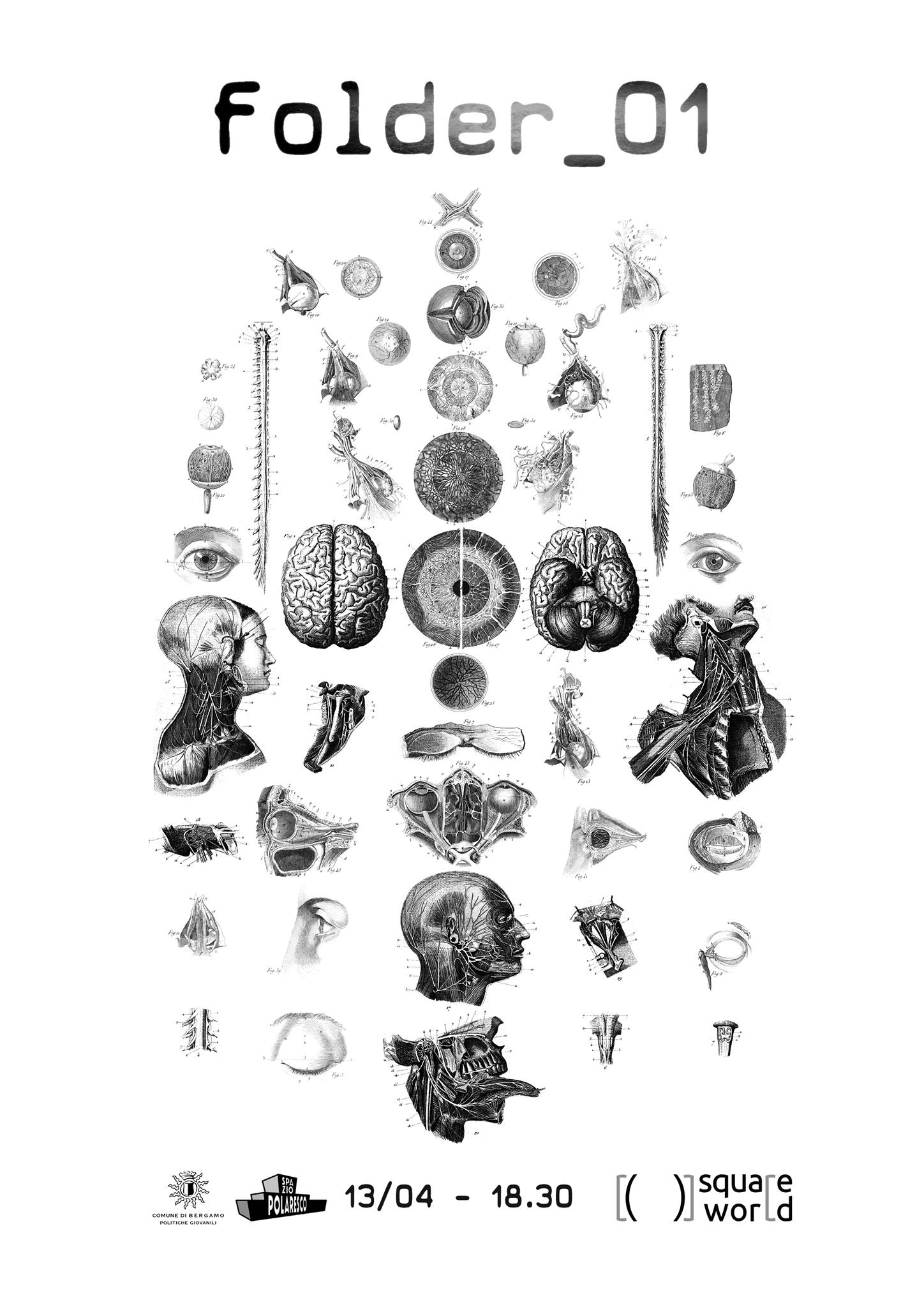 SW al polaresco Folder01